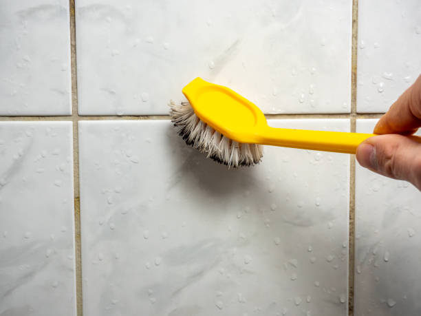 Best Fast Mold Removal  in Alliae, NC