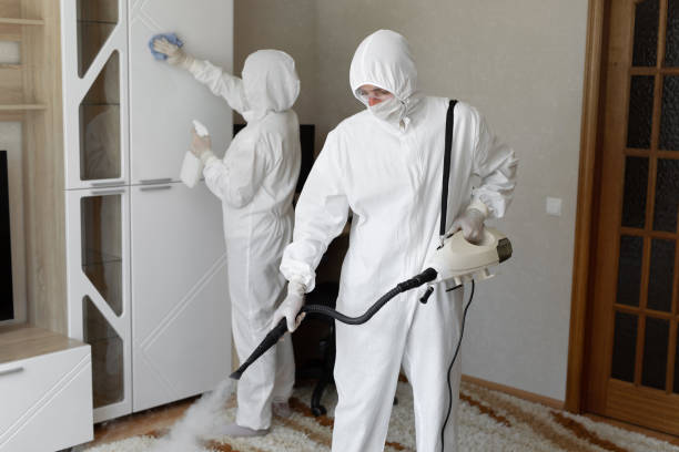 Best Attic Mold Removal  in Alliae, NC