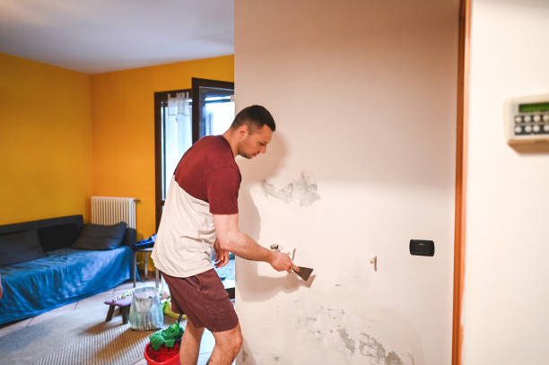 Trusted Alliance, NC Mold Removal Experts